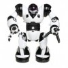 WowWee -8085 - Figurine - Mini Robot Articulé - RoboSapien