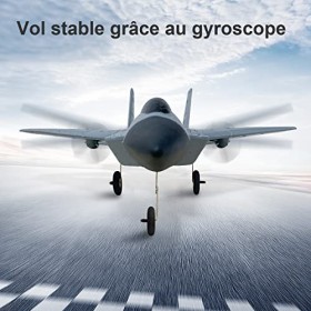 HAWKS WORK 2 CH Avion télécommandé F22，Prêt à Piloter 2.4GHzAvion télécommandé，Convient aux Enfants et aux débutants，Planeur