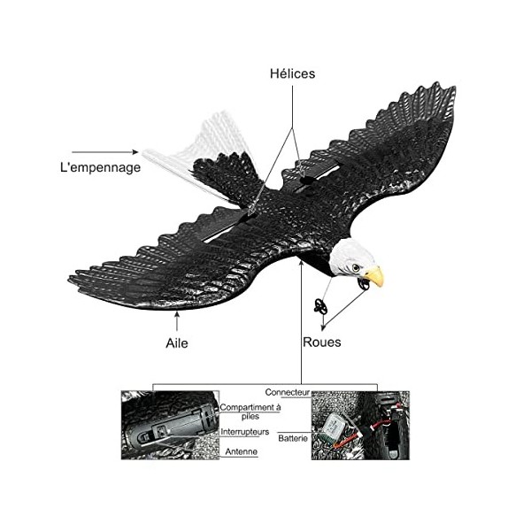 HAWKS WORK RC Eagle, Avion RC 2 CH Prêt à Voler, Avion Télécommandé 2.4GHz, Planeur RC Facile à Piloter pour Les Enfants et 