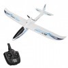 GoolRC Wltoys F959 SKY-King 2,4 G 3CH Radio Contrôle RC Avion Avion RTF Motif bleu