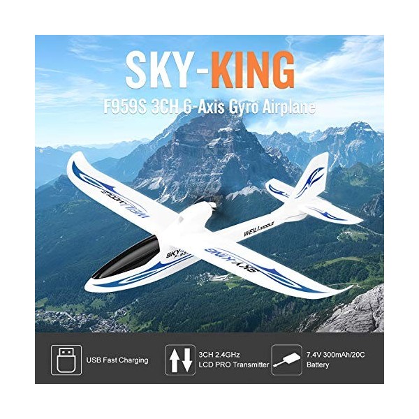 GoolRC Wltoys F959 SKY-King 2,4 G 3CH Radio Contrôle RC Avion Avion RTF Motif bleu