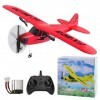Avion radiocommandé 2 CH 2,4 GHz RC avion rtf pour débutants, enfants et adultes, jouet avion avec charge USB Rouge