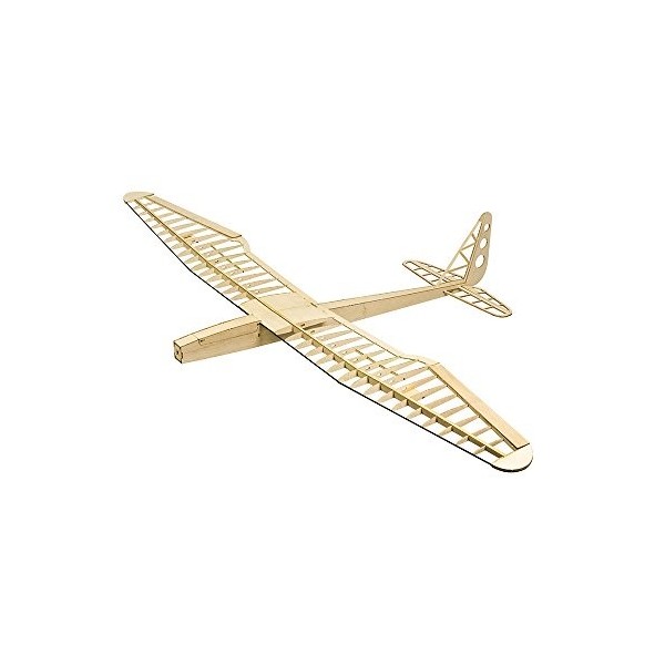 DW Hobby F1601 Planeur électrique Sunbird Envergure 1600 mm en bois de balsa