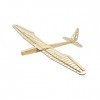 DW Hobby F1601 Planeur électrique Sunbird Envergure 1600 mm en bois de balsa