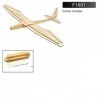 DW Hobby F1601 Planeur électrique Sunbird Envergure 1600 mm en bois de balsa