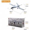 Plane Ready to Fly EPP Remote Control Airplane 2.4GHz 2 Channels RTF RC Aircraft for Beginner Easy to Fly RC Airplane Light a
