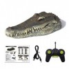 Lshan Bateau réaliste en forme de tête de crocodile télécommandé 2,4 G avec télécommande