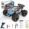 Herenear Voiture Telecommandé, Voiture RC avec Lumière LED, Voiture Télécommandé Tout Terrain 2.4GHz, Voiture Télécommandée C