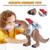 Smalody Dinosaure Telecommandé, Enfant Robot Jouet Electrique Robot Rc Dragon avec Marche et Rugissant Pulvérisation Fonction