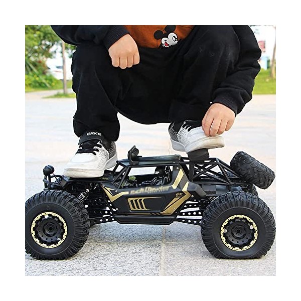 HEBXMF Camion RC 19,7 pouces grand véhicule RC tout-terrain, buggy RC descalade à absorption des chocs 4WD, voitures RC tout