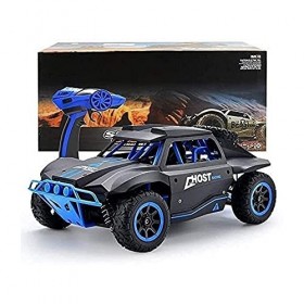 RC Monster RCM029 Voiture télécommandée 1:16 4X4 RTR Brushless RC C