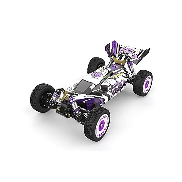 KKTUA Voiture RC Professionnel Buggy 1/12 Wltoys XKS 124019 Traction 4X4 Emetteur LCD 2,4 GHz Haute Vitesse de 60 km/h + Batt