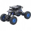 Voitures télécommandées, 4x4 Crawlers Enfants Véhicule tout-terrain adulte Rechargeable Bigfoot Escalade Jouet de passe-temps