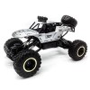 XiYou Voitures télécommandées 4x4 Offroad Rechargeable sans Fil Buggy 1:12 37CM ​​4WD 2.4G Radio Toy 30Km / h Camion à Grande