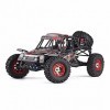 DFERGX RC Cars Échelle 1:12 50+ Kmh Haute Vitesse Grande Voiture Télécommandée 4x4 Hors Route Monster Truck Électrique 2.4GHz