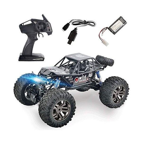 HAIBOXING Voiture télécommandée 4WD 1:18 RC Car Hailstorm, 2,4 GHz