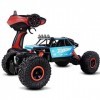 XiYou Voitures télécommandées pour Enfants, 1:18 4 canaux 4x4 RTR Jouet Buggy véhicule Camion Terrain illimité 2.4 Ghz Radio 