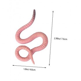 Toyvian 4 Pièces Cycle De Croissance Modèle Jouets Animaux Jouets Arts Et Artisanat pour Enfants Aide À La Formation vers De 