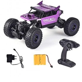 BONOCO Voiture télécommandée à léchelle 1:18 à grande vitesse Rock Crawlers véhicule tout-terrain amphibie terrain étanche g