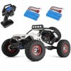 Modeltronic 12429 Échelle 1/12 Émetteur 2,4 G 4 x 4 Haute vitesse 50 km/h Crawler Desert Offroad Buggy véhicule avec lumière 