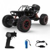 2.4G Jouets Buggy Trucks Off-Road pour Enfants Rock Crawlers 4X4 Télécommande Modèle Véhicule Jouet Haute Vitesse Rc Car 1/14