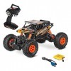 WZRYBHSD Voiture RC, 4WD 2.4Ghz 1/18 Crawlers Off Road Vehicle Toy Remote Control Car,Monster RC Truck,9km/h Fast Race Buggy 