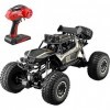 YQGOO High Speed RC Car, Buggy 1/12 Remote Control Monster Crawlers Chariot 4WD 4x4 All Terrain Vehicle 2.4GHz Gifts for Boys