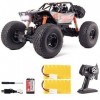 RC Camion, 1/10 Big Pied Radio contrôlé Rock Crawlers 4x4 RTR Voiture de voiture Double moteurs électriques Offroad 2.4GHz 4W