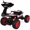 ERNP 1/14 Radio Télécommande Gros Pneu Monster RC Truck, 2.4G Jouets Buggy Off-Road pour Enfants Rock Crawlers Camion Truggy 