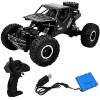 Mioioim Grande voiture descalade RC Monster Truck Voitures télécommandées à grande vitesse 2.4Ghz Véhicule radiocommandé 4WD