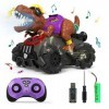 Kiztoys Voiture Telecommandé Enfant, 4WD RC Dinosaure Monster Truck Tout Terrain Jouet Véhicule avec Pulvérisation Brumisatio