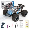 Herenear Voiture Télécommandée, 4WD Voiture Telecommandé Tout Terrain, 2,4 GHz Télécommandes, Voiture RC Electrique Jouet pou