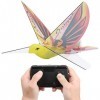 banapoy Jouet Doiseau Télécommandé, Hélicoptères RC Go Go Bird avec Lumière LED, RC Bionic Drone-Tech Flying Bird Toys Smart