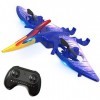 Lochimu télécommande dinosaur jouet enfants électrique volant pterodactyle jouet enfants 2.4g rc toys animaux simulation réal