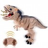 deAO Dinosaure téléguidé pour Enfants, Qui Marche, rugit, respire de la Vapeur et Peut secouer la tête Marron 