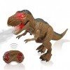 Dinosaure Télécommandé Enfants Dinosaure Jouet - Robot Dinosaure RC Tyrannosaurus avec des Yeux Brillants, la Fonction Marche