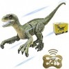 TuKIIE Dinosaure Télécommandé, 2,4GHz Infrarouge RC Dinosaure Jouet, pour 8 Ans Garçons Filles Jouet Dinosaure, de Dinosaures