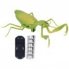 Qcwwy Jouet Mantis RC Réaliste, Télécommande Infrarouge Faux Mantis RC Nouveauté Jouet Modèle Mock Tricky Bug pour Enfants An