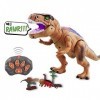 WISHTIME Dinosaure T-Rex réaliste avec télécommande, Mouvement de Marche, agitant la tête pour Les Tout-Petits garçons Filles