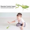 Fupi Insecte télécommandé, Faux Animal Effrayant léger, Forme compacte pour Les Enfants dhalloween Mante Religieuse 