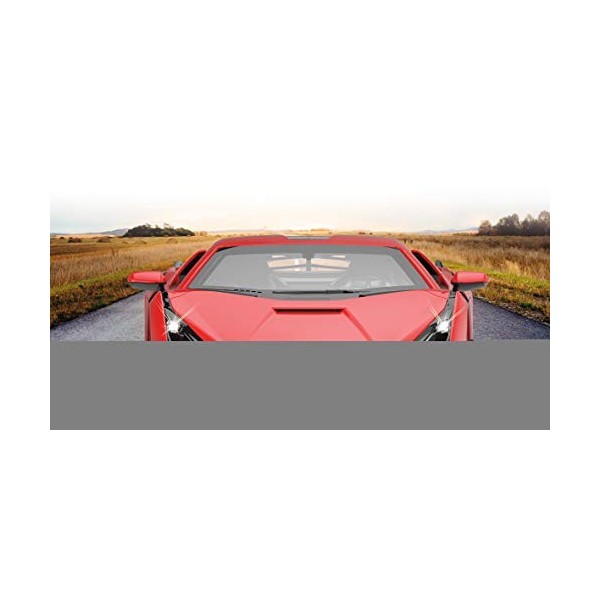 JAMARA Lamborghini Sián FKP 37 1:14 Rouge 2,4GHz Porte Manual