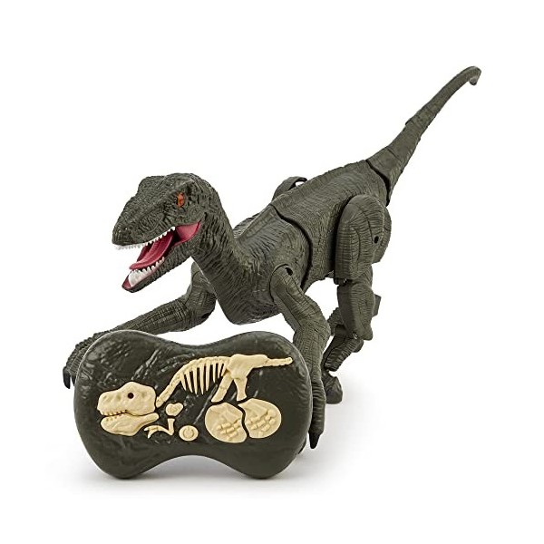 Jouets Dinosaures Velociraptor télécommandés, 2.4GHz Lumière + Sons Robot RC Dino à Marche électrique