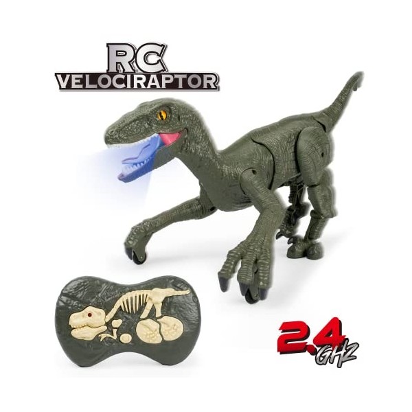 Jouets Dinosaures Velociraptor télécommandés, 2.4GHz Lumière + Sons Robot RC Dino à Marche électrique