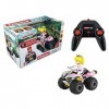 Carrera RC Nintendo Mario Kart 8 Peach Quad