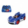 Sonic The Hedgehog All Star Racing Transformed Radio Controlled Car