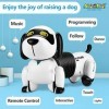 ALLCELE Jouet pour Enfant, Chien Robot Télécommandé Programmable et Dansant avec Son interactif, Cadeau pour Enfant Garçons e