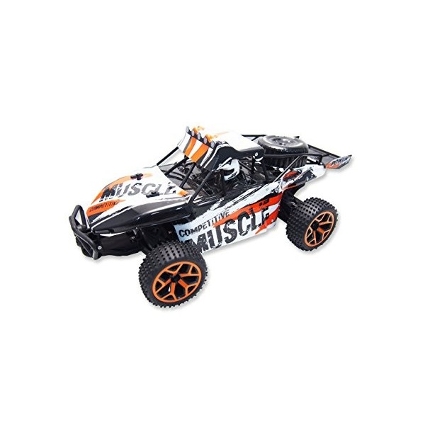 Amewi Voiture Buggy Storm