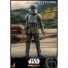 Hot Toys 1:6 Transport Trooper - The Mandalorian