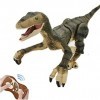 WEECOC Jouet robot télécommandé en forme de dinosaure pour enfants - 2,4 GHz - Éclairage LED - Cadeau de Noël ou danniversai