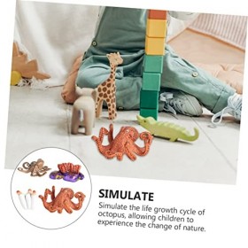 HOOTNEE 1 Ensemble Jouets De Cycle De Croissance De Poulpe Jouets Animaux Jouet De Tortue De Mer Jouet De Créature Marine Jou